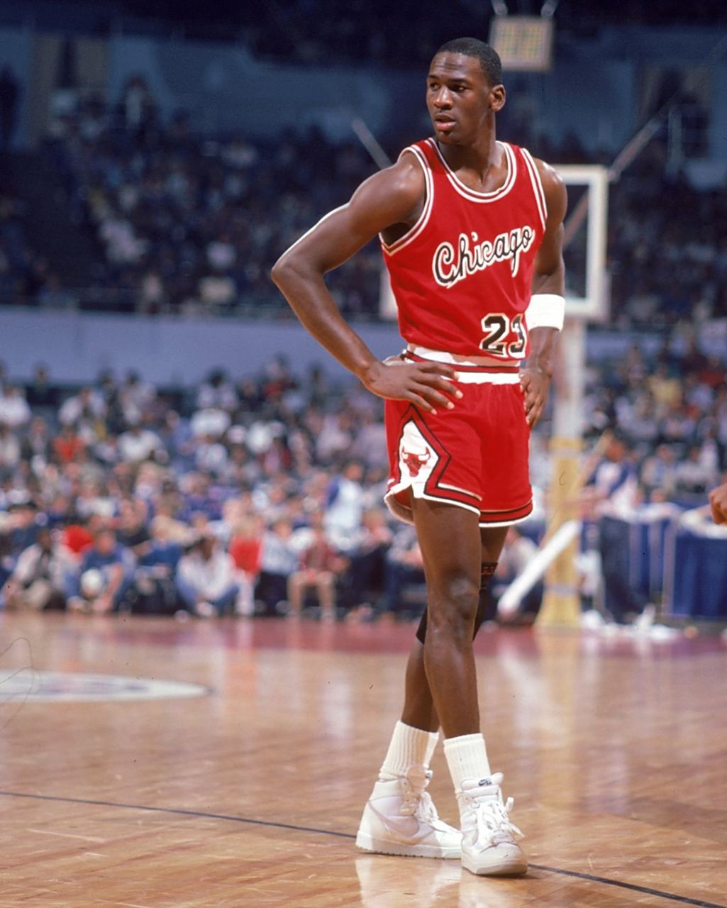 有不俗表现 有不俗表现